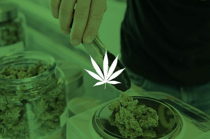 One Year of Cannabis Investing: Happy Birthday, Mary Jane!